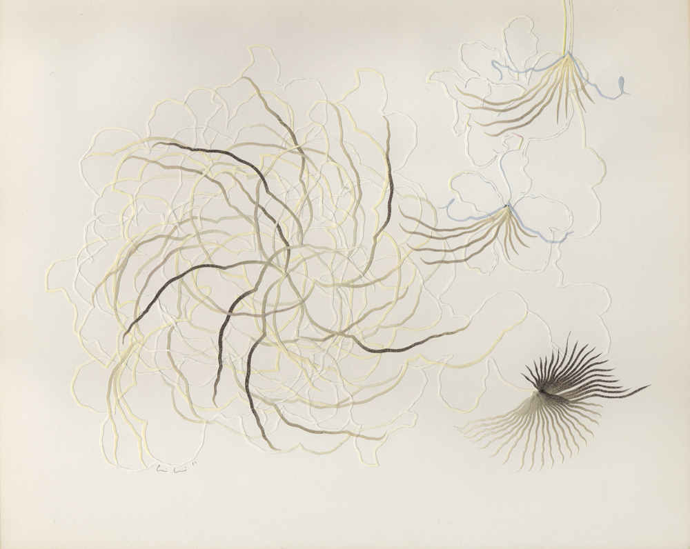 Alexis Mackenzie, Cyclic i